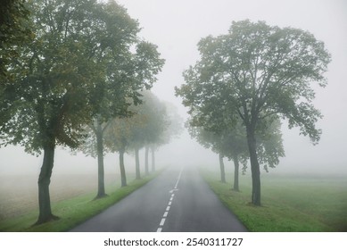 speedway or freeway in the heavy fog. Driving dangerously, winter fog. - Powered by Shutterstock