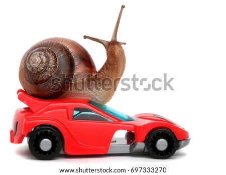 Speedy snail like car racer. Concept of speed and success. Wheels are blur because of moving. Isolated white background