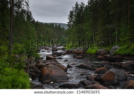 Speep mountain river going through the forest. Many stones in the river. Sweden nature.