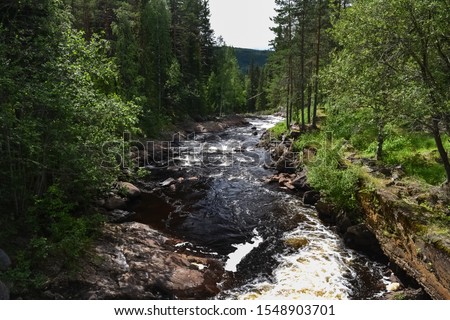 Speep mountain river going through the forest. Many stones in the river. Sweden nature.