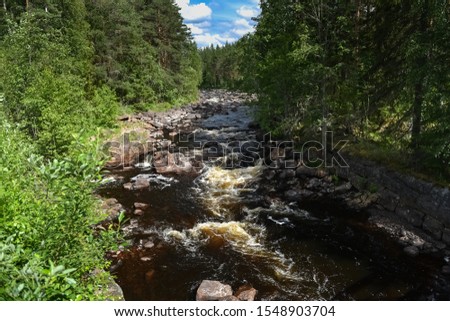 Speep mountain river going through the forest. Many stones in the river. Sweden nature.