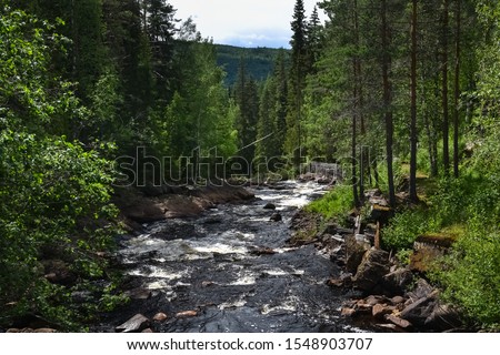 Speep mountain river going through the forest. Many stones in the river. Sweden nature.
