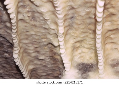 Speleothem Inside The Lookout Mountain Caverns