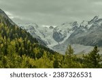 Spellbinding Autumn Prelude: Morteratsch Glacier Panorama on a Cloudy Day, Setting Nature Aglow