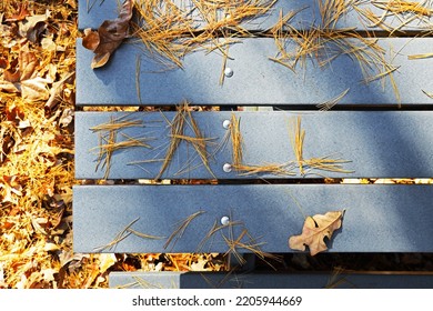 “FALL” Spelled Out In Fallen, Yellow Pine Needles On An Outdoor Picnic Table With Fallen Autumn Foliage On The Ground In The Background