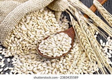 Spelled in a spoon, in a burlap bag and on the table, stalks with ears of wheat on the background of black wooden board
