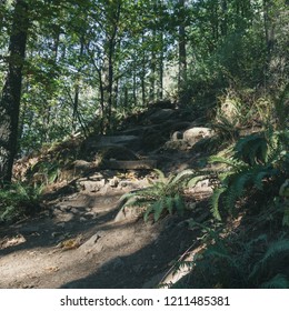 Spencer Butte, Oregon