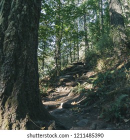 Spencer Butte, Oregon