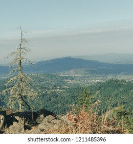 Spencer Butte, Oregon