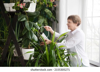  spend free time do favourite hobby. life concept. floriculture. elderly woman takes care of the flowers at home