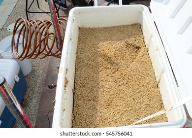 Spent Grains In Mash Tun During Home Brew