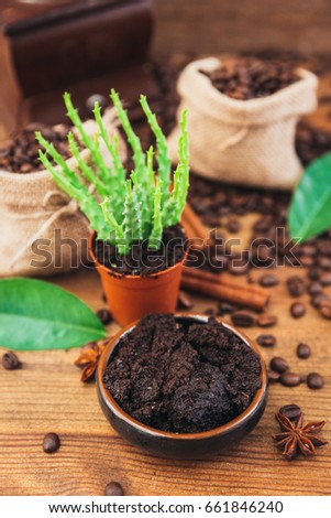 Spent grounded coffee and plant as natural fertilizer over wooden background 