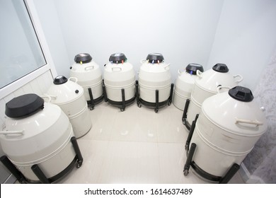 Sperm Freezing Storage In Liquid Nitrogen Tank, Laboratory Infertility.