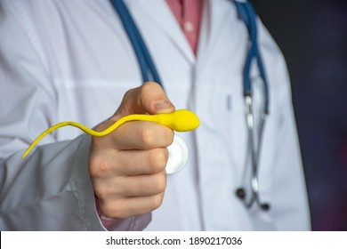 Sperm problems as cause of male infertility concept photo. Urologist or fertility specialist holds enlarged sperm model in his outstretched hand, pointing to spermogram and showing patient cause