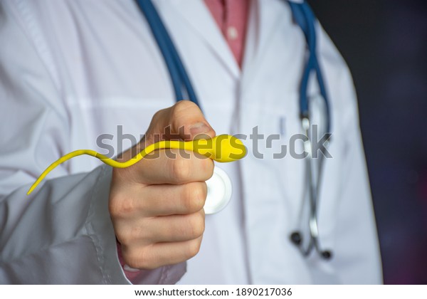 Sperm problems as cause of male infertility concept\
photo. Urologist or fertility specialist holds enlarged sperm model\
in his outstretched hand, pointing to spermogram and showing\
patient cause