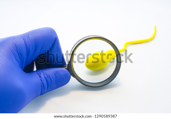 精子や精液のテストや分析のコンセプト写真 白い背景に虫眼鏡を使って 医師 技術者 または科学者が モデルの精子細胞を調べます 健康と生存能力に関する泌尿器学の診断 の写真素材 今すぐ編集
