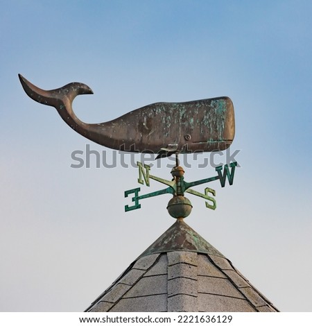 Sperm Whale, Physeter macrocephalus, corroded metal weather vane on top of roof