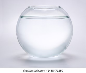 Spherical Aquarium For Goldfish, Sloping Neutral Background