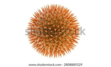 Spherical orange pollen grain with sharp spikes and textured surface