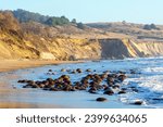 Spherical sandstone concretions at Bowling Ball Beach at low tide, part of Schooner Gulch State Beach in California, USA