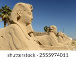 The Sphinx avenue, Luxor City, Egypt, Africa. The road of statues from Luxor Temple to Karnak temple.