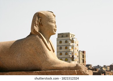 Sphinx Of Serapeum In Alexandria, Egypt