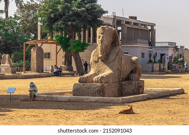 Sphinx Statue of Queen Hatshepsut in the ancient city of Memphis, Egypt