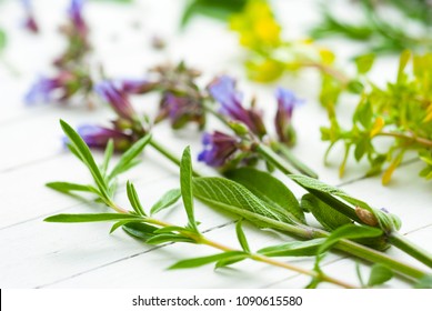 spice and herbal plants with flowers, white wooden table background
