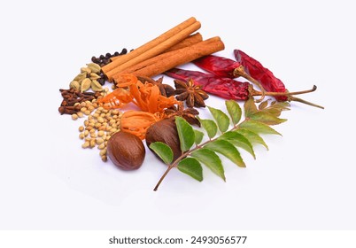 Spice mix, mixed spices isolated, cinnamon sticks, Anise star, cardamom, nutmeg, cloves, red chillies, curry leaves - Powered by Shutterstock