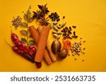 Spice mix, spices, whole spices in yellow background