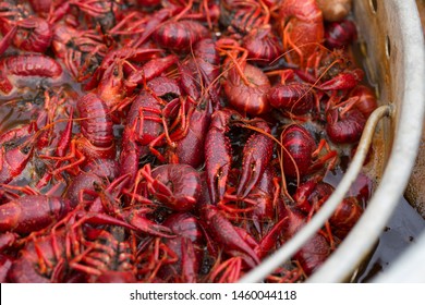 Spicy Crawfish Boiling In Pot 