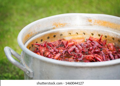 Spicy Crawfish Boiling In Pot 