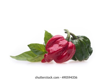 Spicy hot chili peppers white background