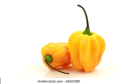 spicy hot peppers(Capsicum chinense ) on a white background
