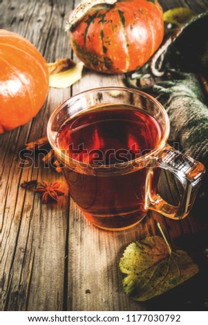 Spicy pumpkin tea, autumn hot drink glass cup, with pumpkins, cinnamon and spices on old rustic wooden background copy space