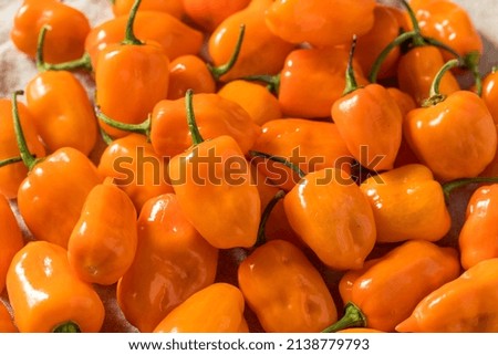Spicy Raw Organic Habanero Peppers in a Bowl