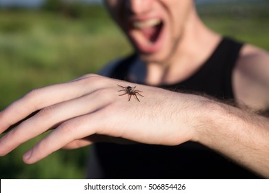 Spider Bites The Hand. The Man Is Afraid