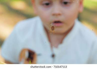 Spider And Boy.