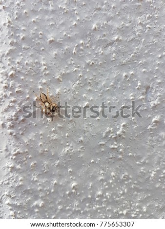 Similar – Image, Stock Photo grim autumn Autumn Leaf