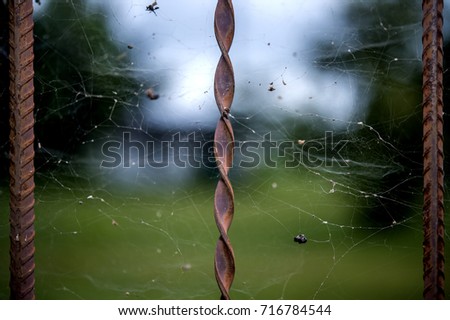 Similar – Image, Stock Photo vinegar tree Nature Branch