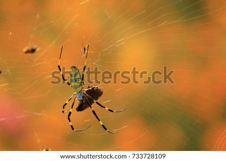 Similar – thorn finger Colour photo