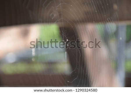 Similar – Image, Stock Photo 500 miles Feminine