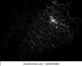 Spider Make No Sense In Web Making