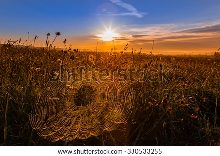 Similar – Abendrot beim Sonnenblumenfeld