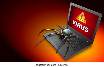 A Spider On A Laptop