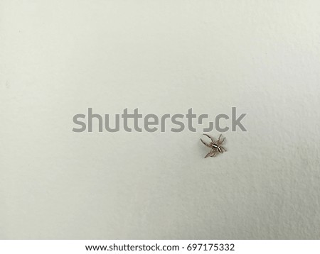 Similar – Image, Stock Photo grim autumn Autumn Leaf