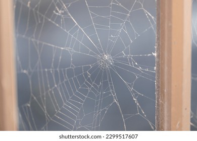 spider silk threads on a post