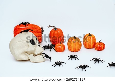 Spider skull with pumpkins on an isolated white background, Halloween concept