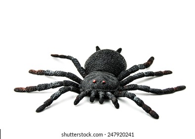 fake spider toy