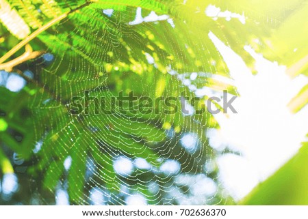 Similar – Image, Stock Photo Looking up in the beer garden